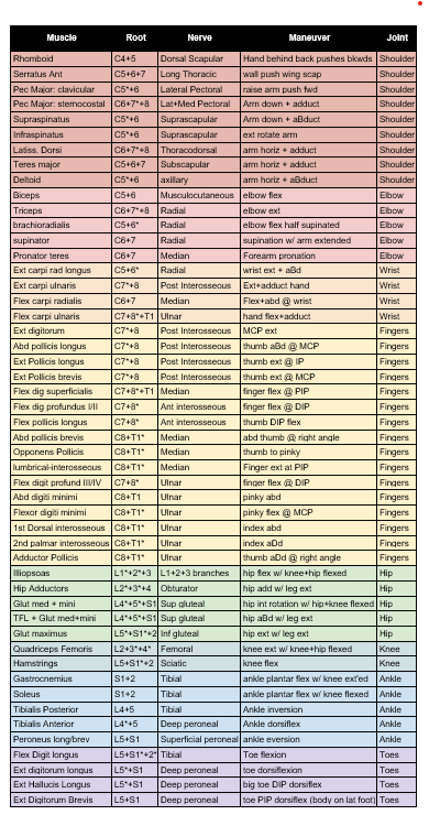 Motor-Chart-1