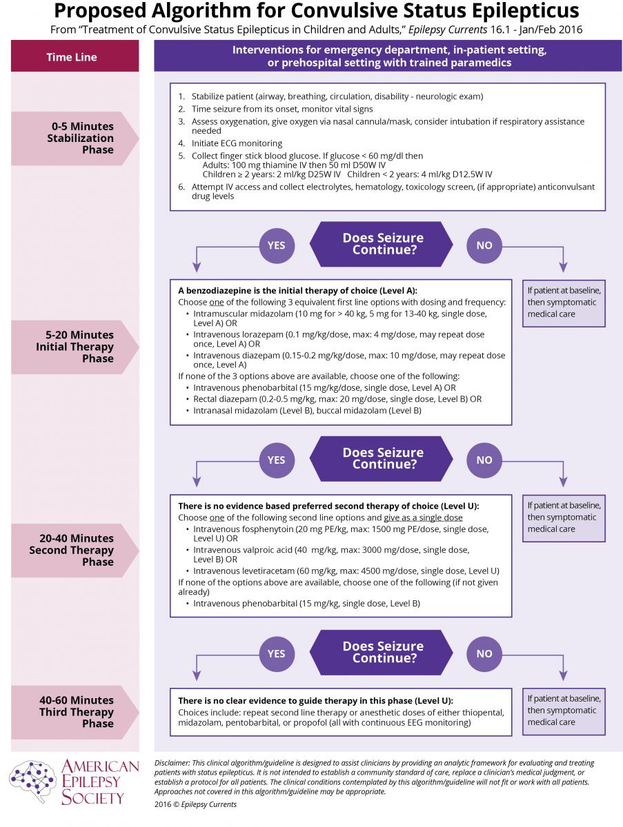 Neurology Mount Sinai Status Epilepticus Protocol